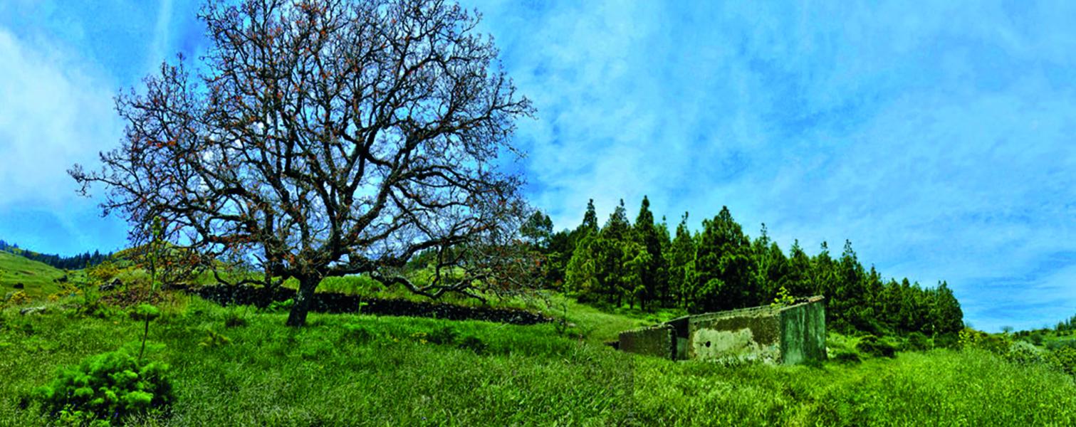 barranco mina